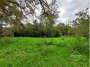 terrain à la vente -   33125  LOUCHATS, surface 1163 m2 vente terrain - UBI445344632